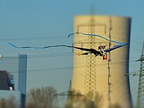 Foto vom Modellflug Drache vor dem Kraftwerkt Datteln 4